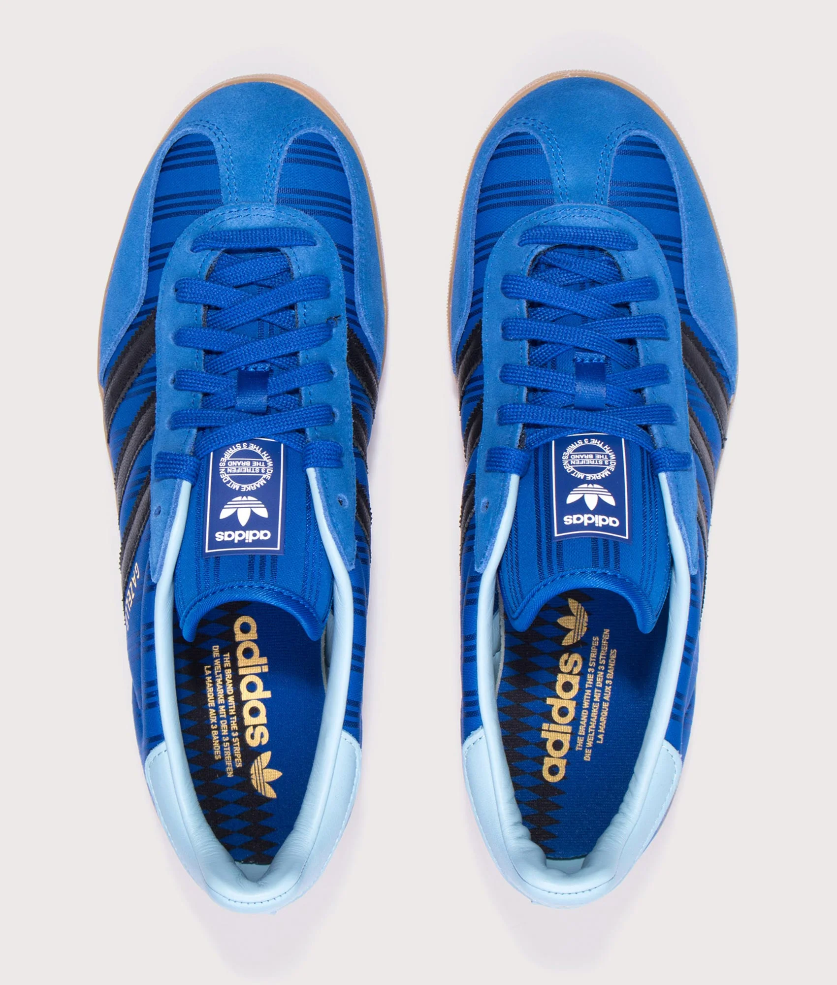 Bringback Pack Argentina Gazelle Indoor Trainers - Image 5