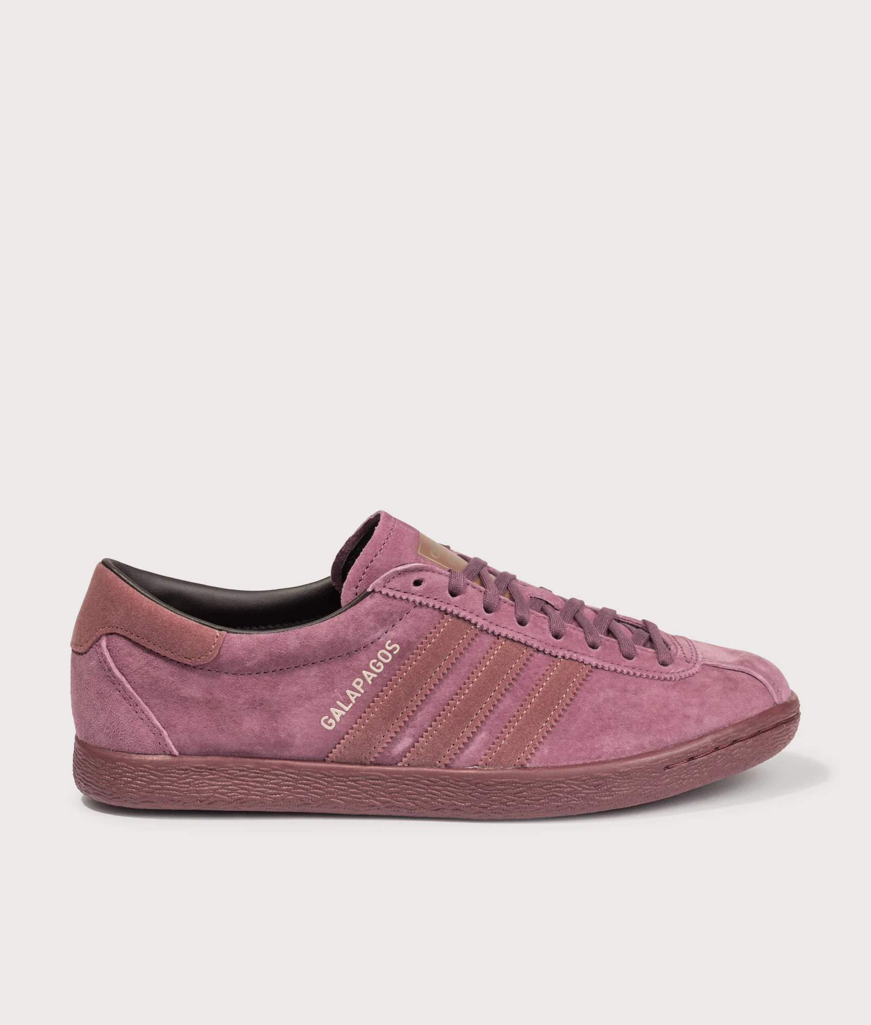 Galapagos Trainers