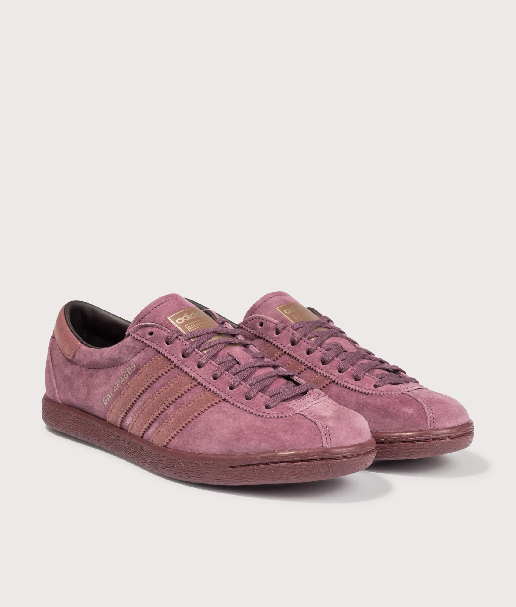 Galapagos Trainers - Image 2