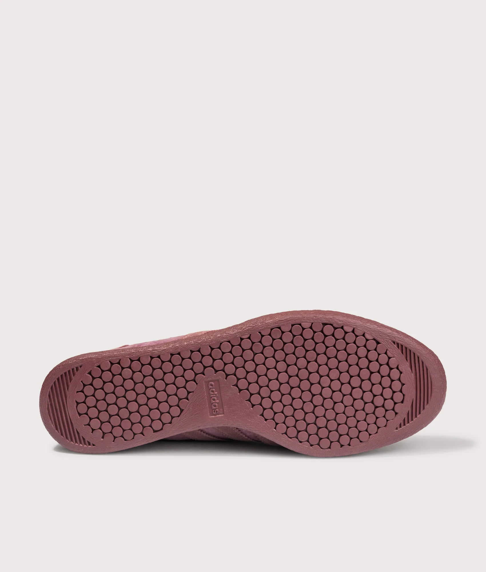 Galapagos Trainers - Image 4