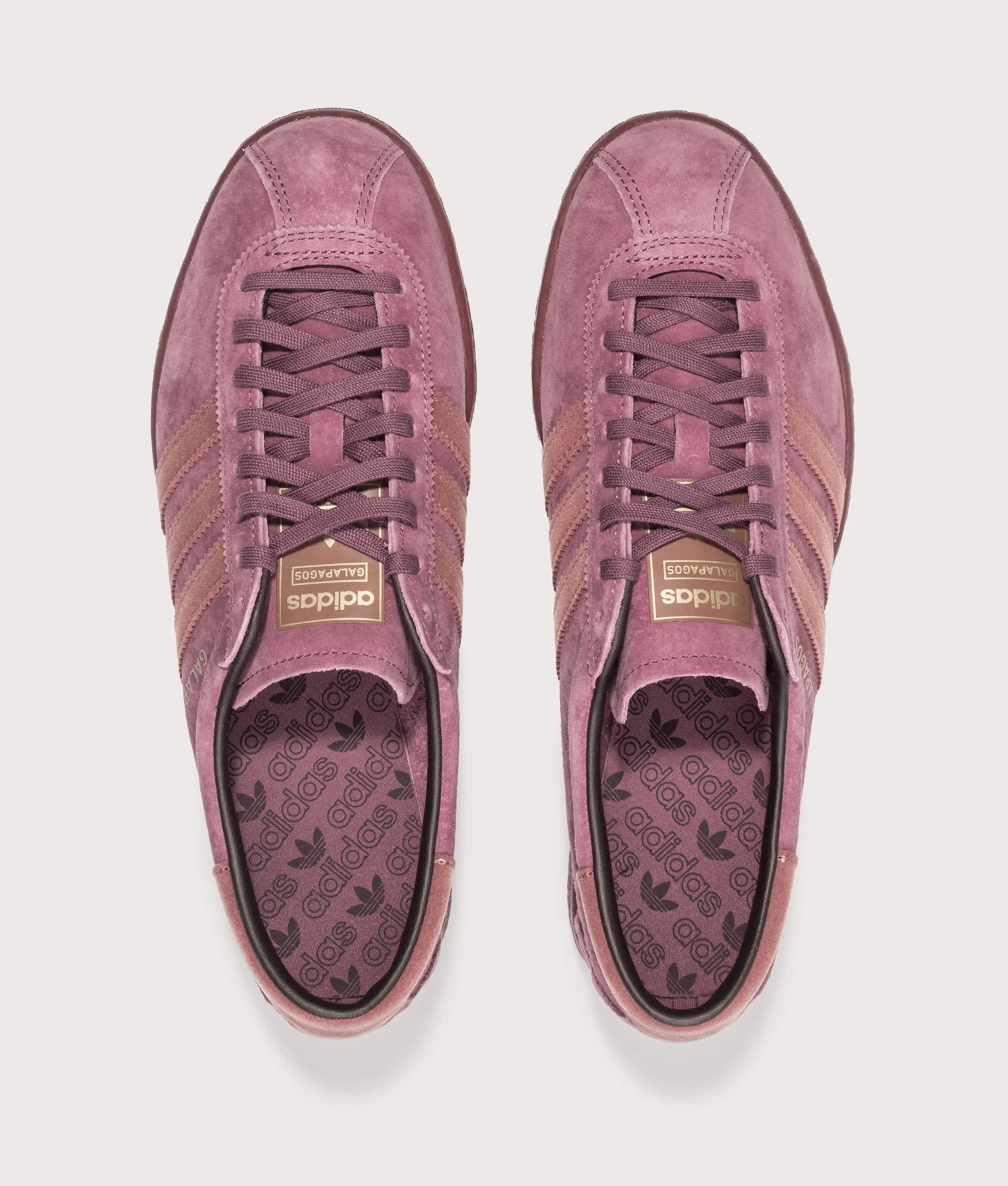 Galapagos Trainers - Image 5