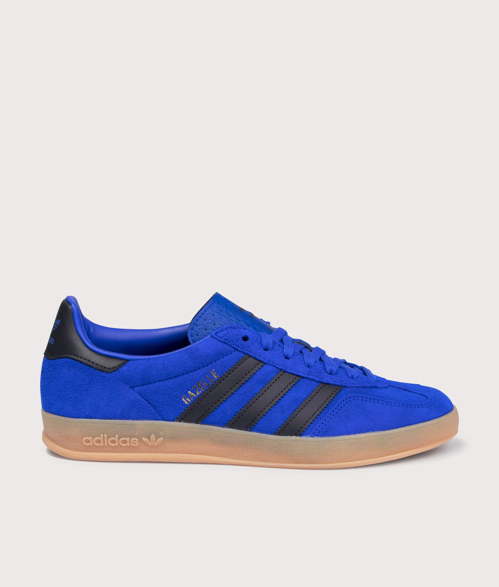 Gazelle Indoor Trainers