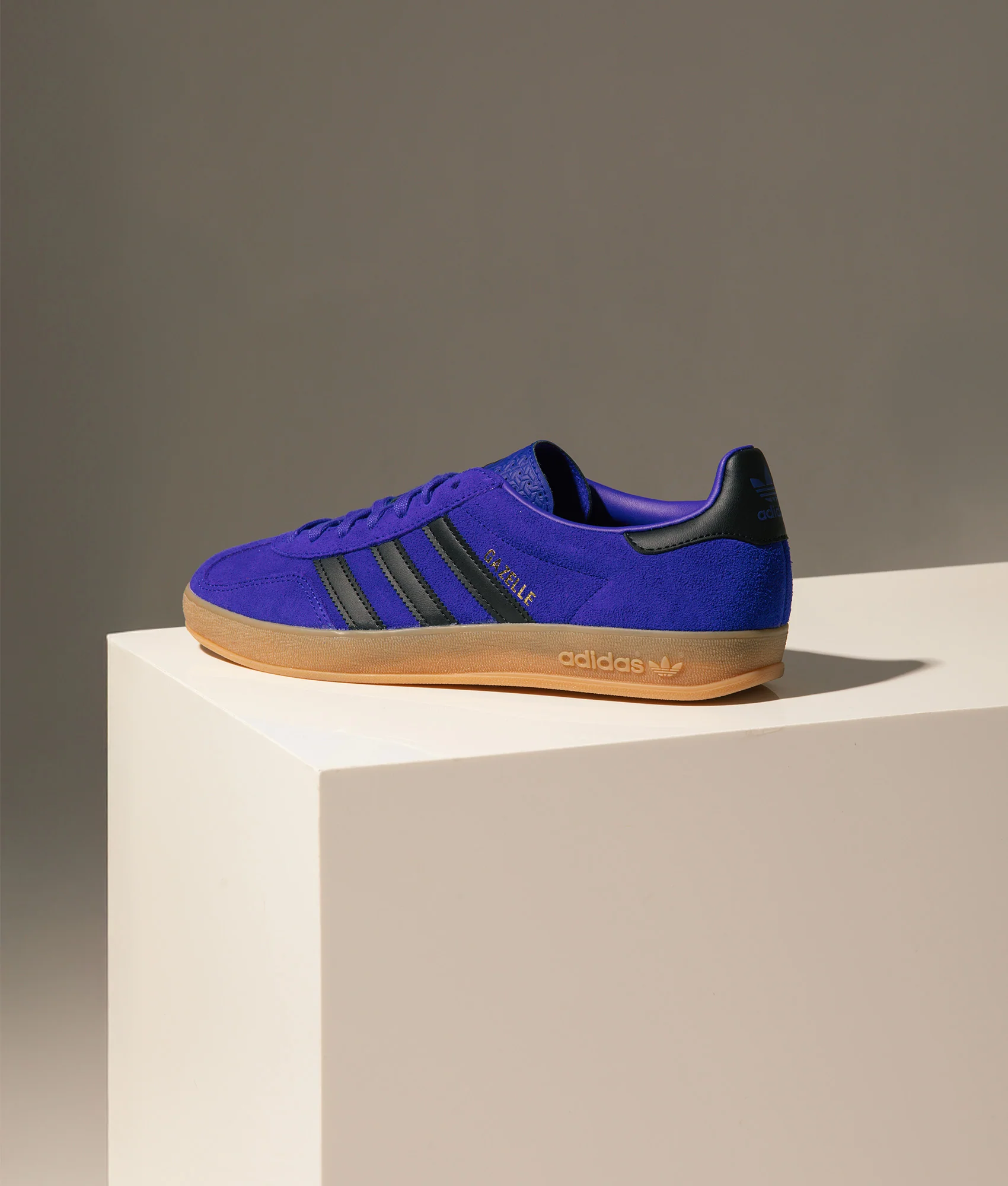 Gazelle Indoor Trainers - Image 2