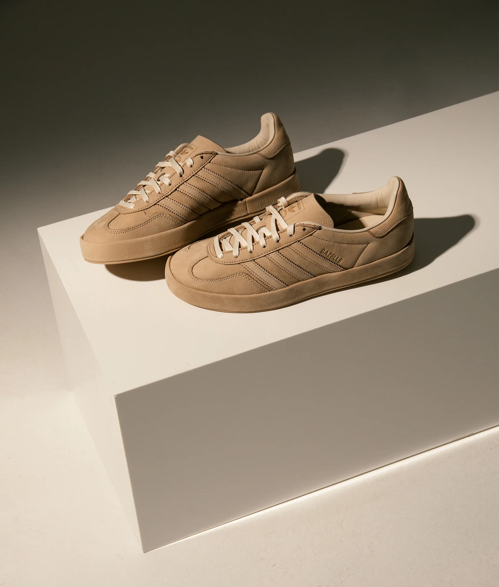 Gazelle Indoor Trainers - Image 3