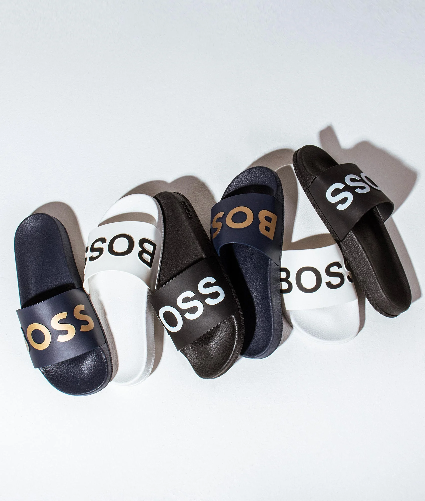 Bay Logo Slides - Image 2