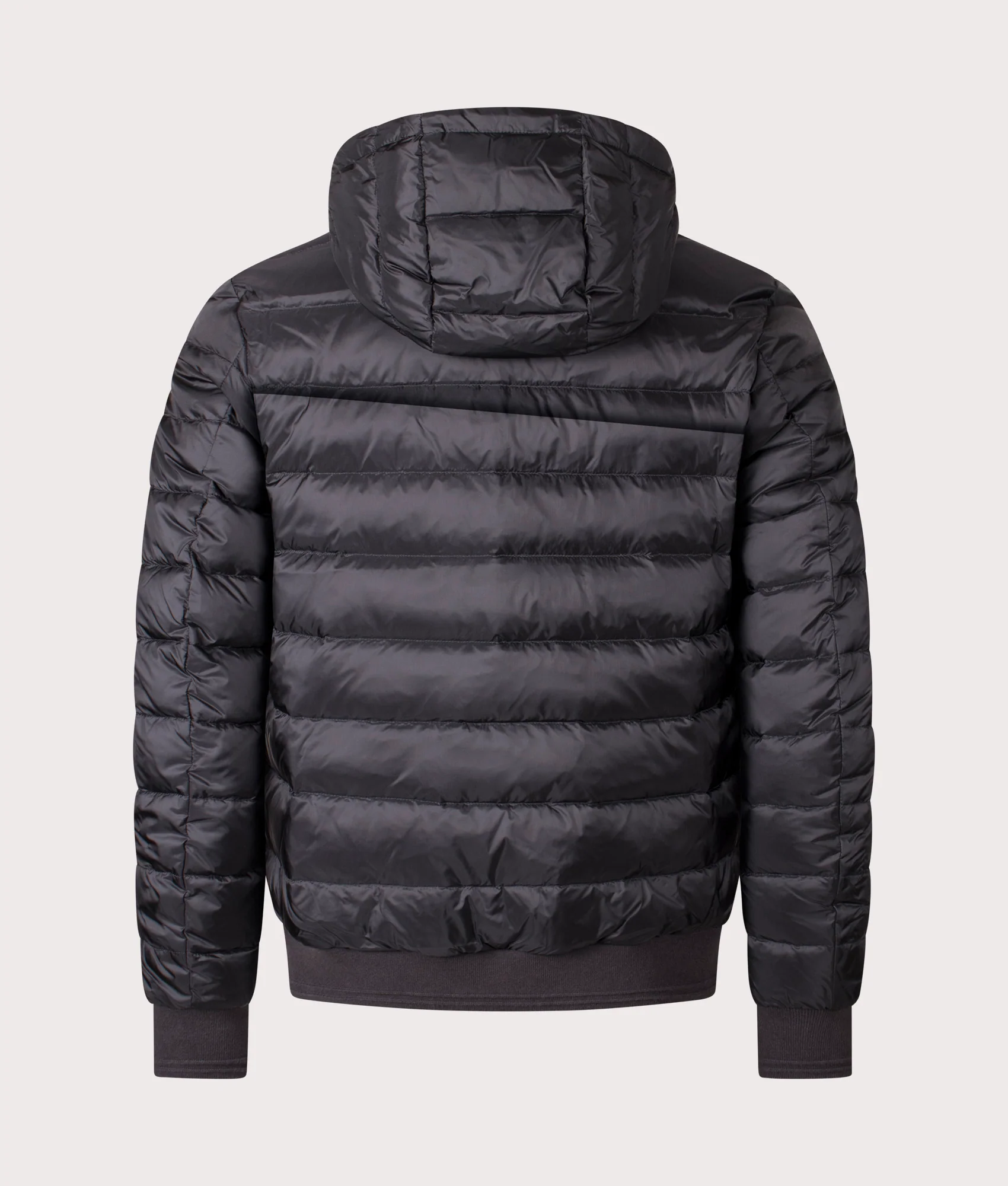Control Jacket - Image 4
