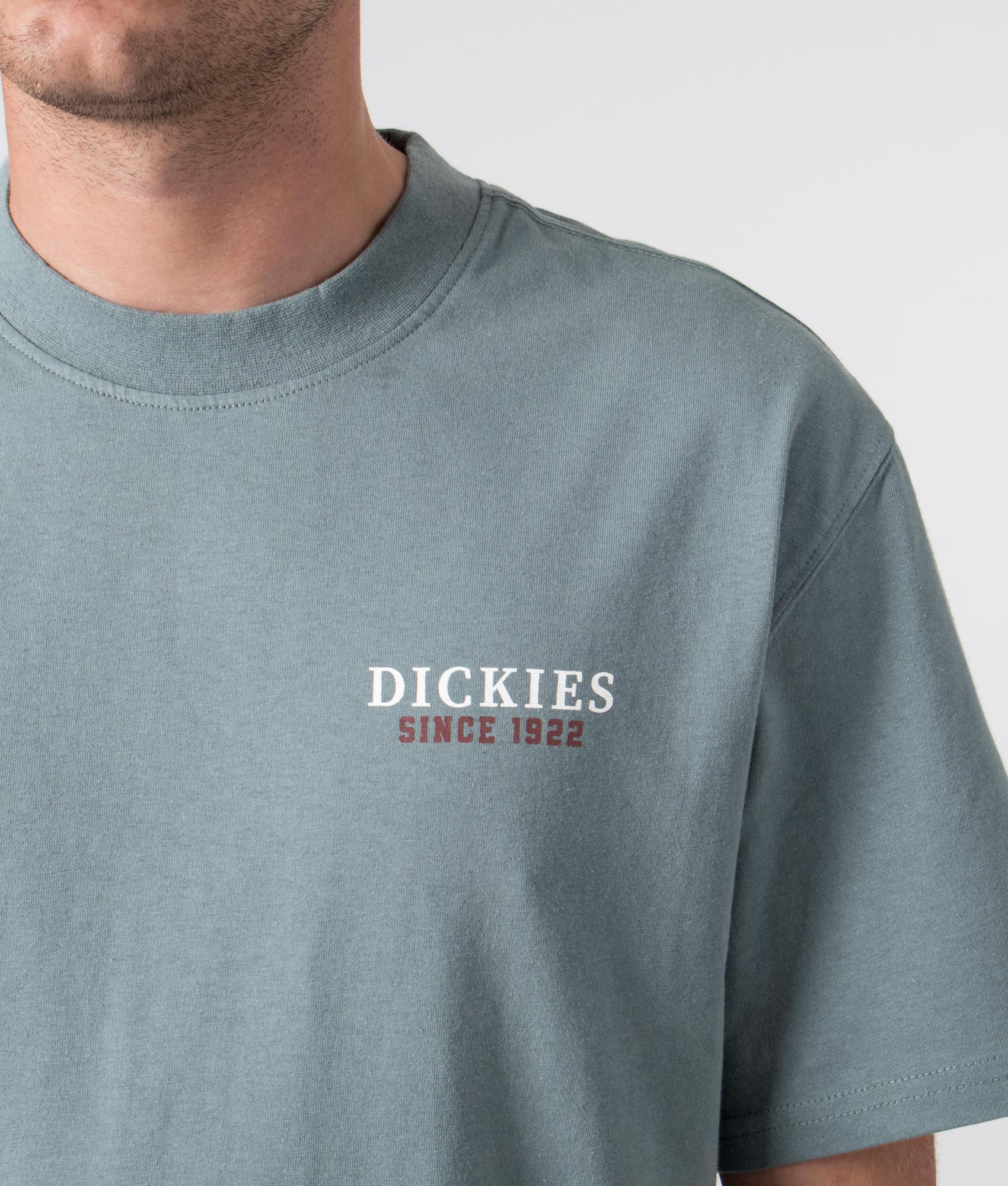 Relaxed Fit Westmoreland T-Shirt - Image 3