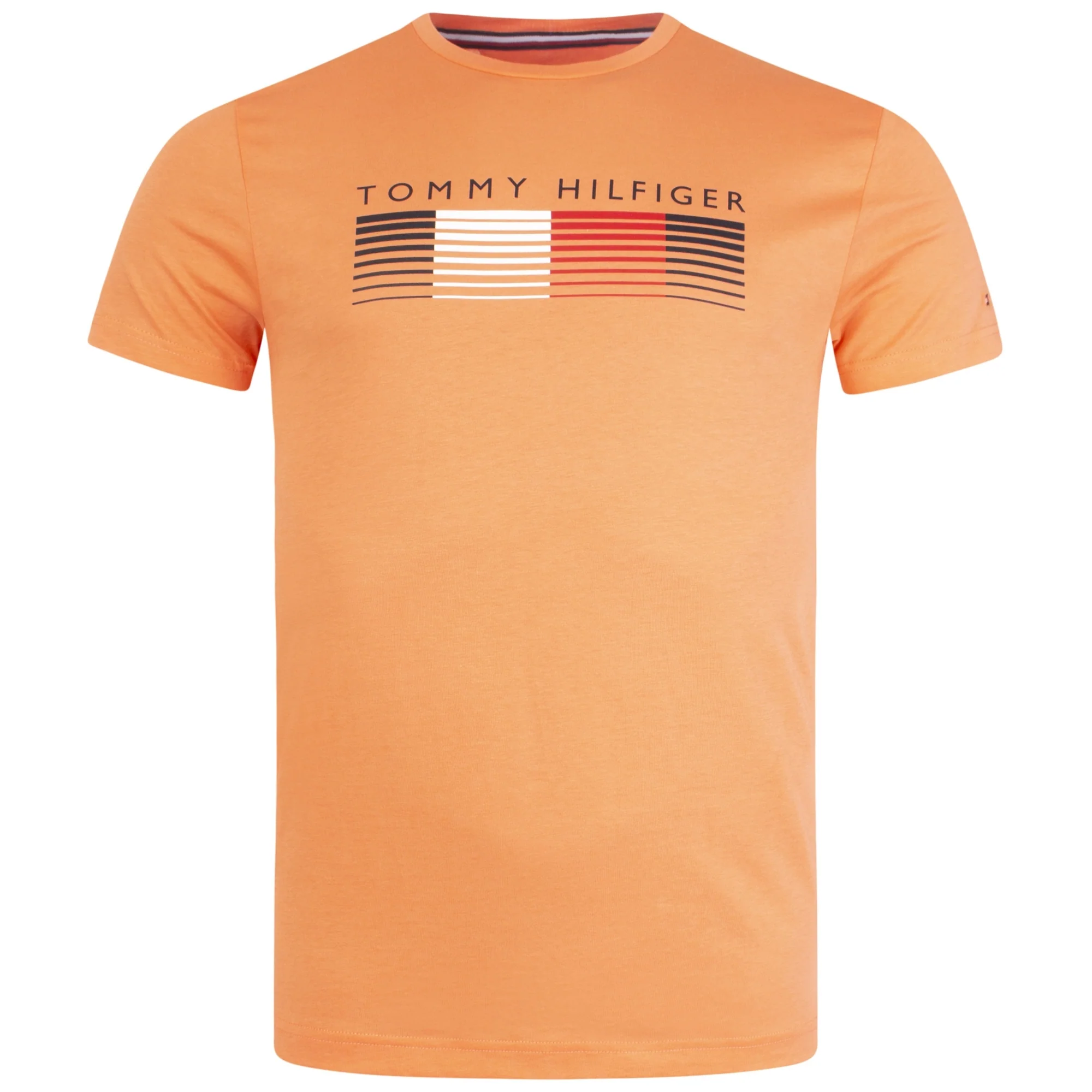 Organic Cotton Fade Graphic Corp T-Shirt