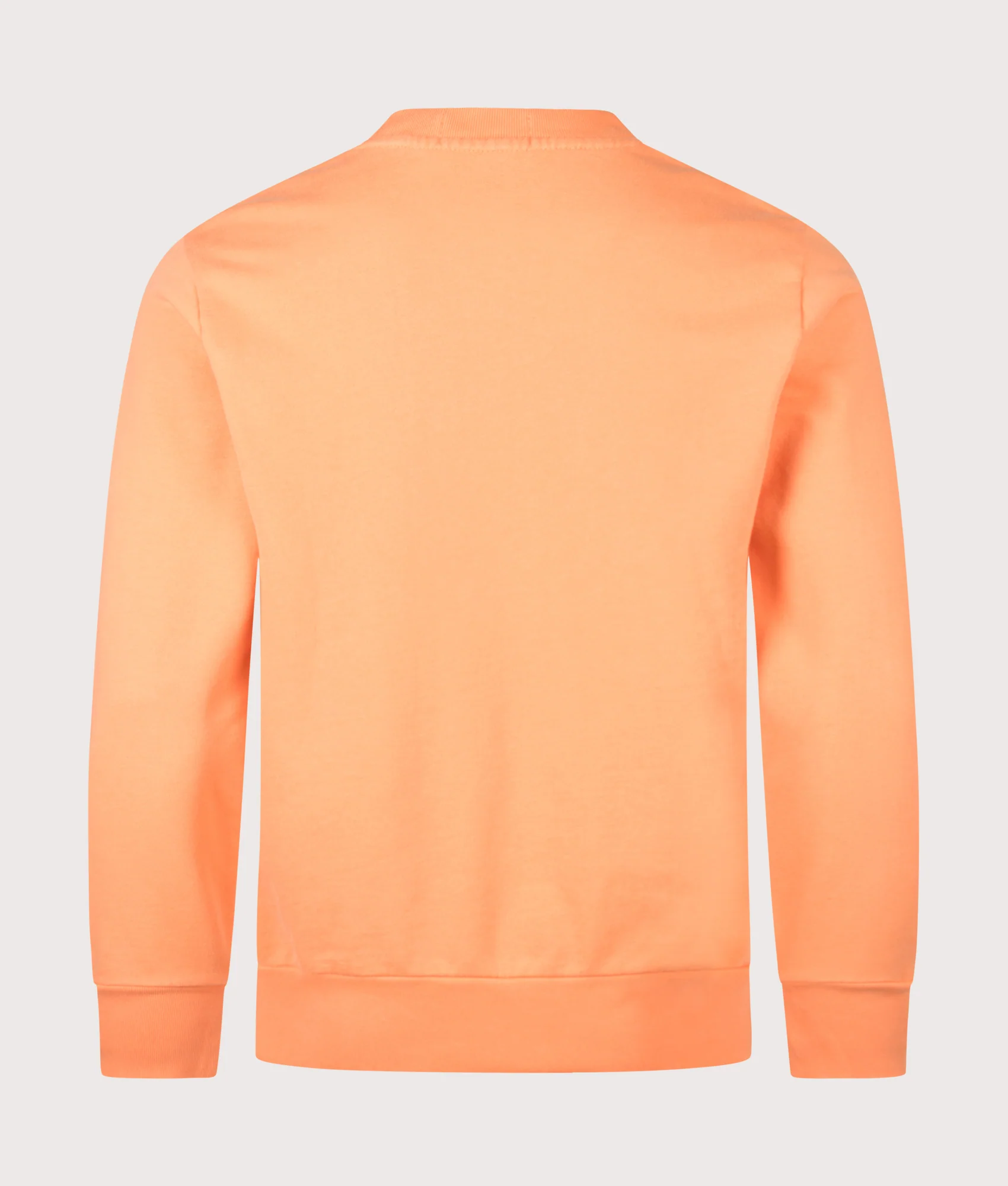 Regular Fit Loopback Terry Sweatshirt - Image 4