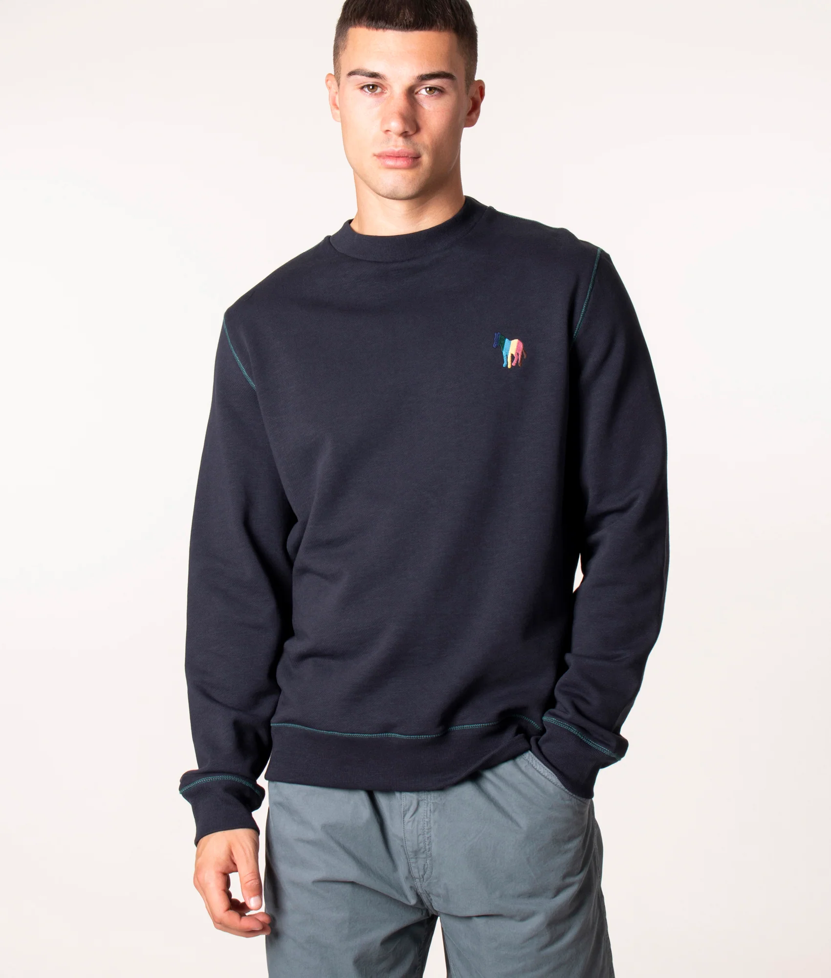 Regular Fit Broad Stripe Zebra Sweatshirt