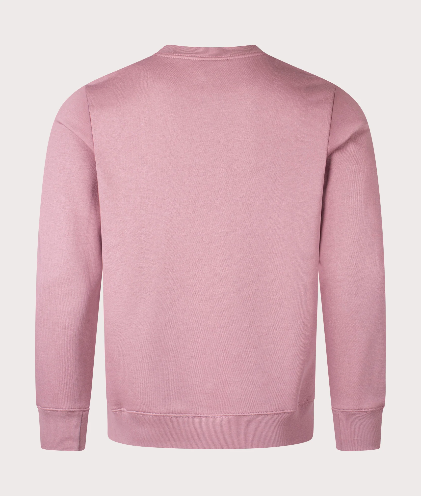 Regular Fit Organic Cotton Zebra Sweatshirt - Image 3