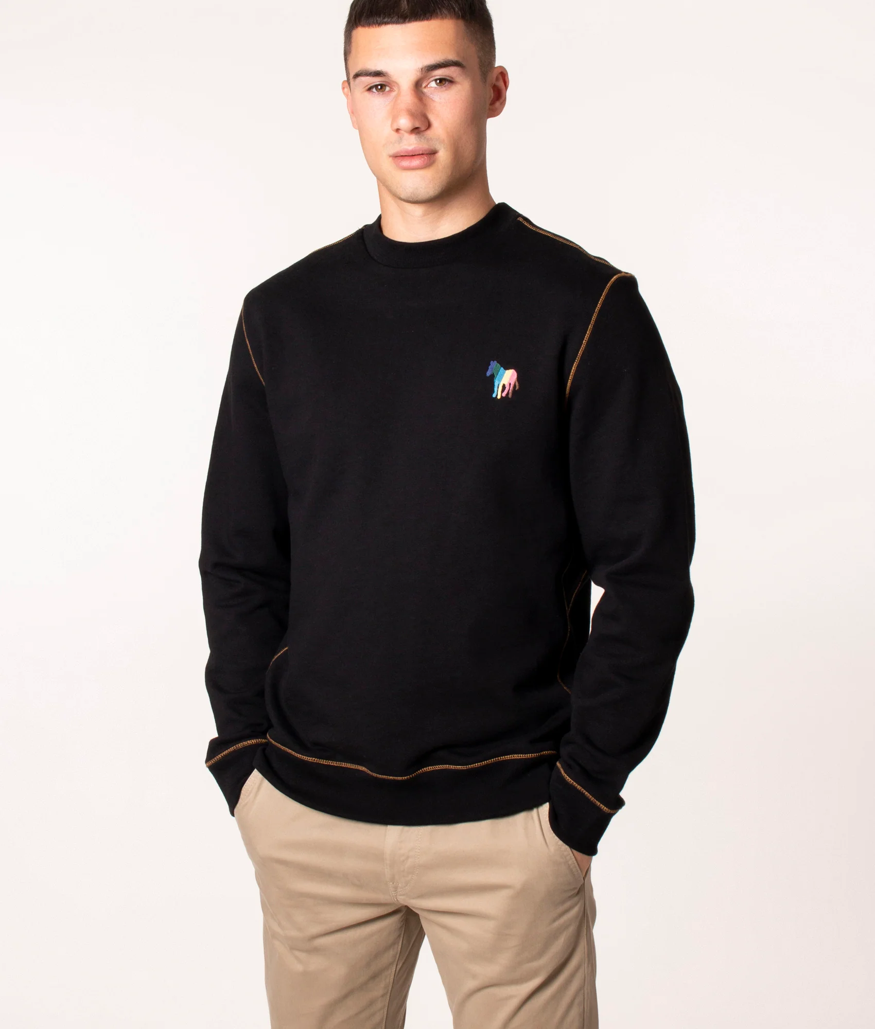 Regular Fit Broad Stripe Zebra Sweatshirt