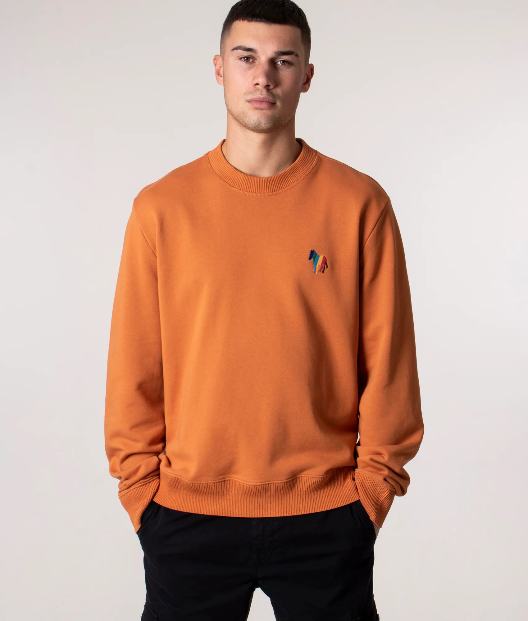 Regular Fit Zebra Emblem Sweatshirt