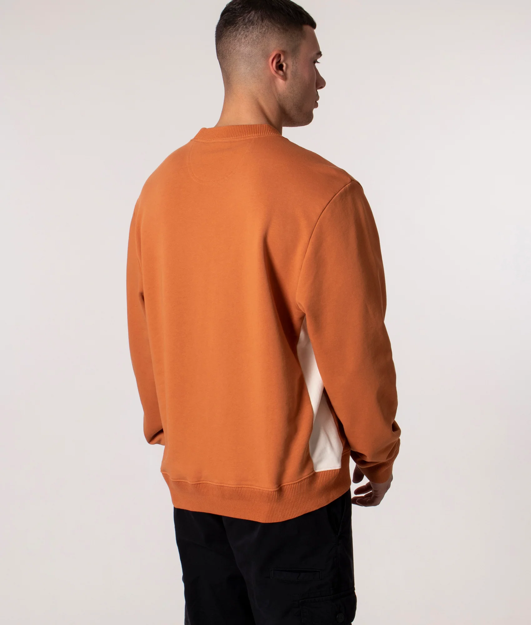 Regular Fit Zebra Emblem Sweatshirt - Image 3