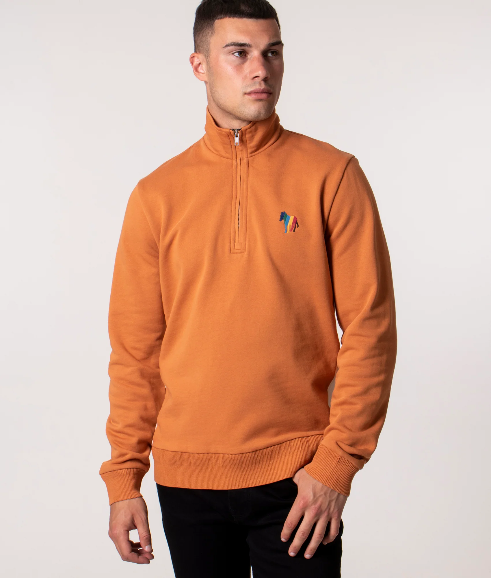 Regular Fit Zebra Emblem Quarter Zip Sweatshirt