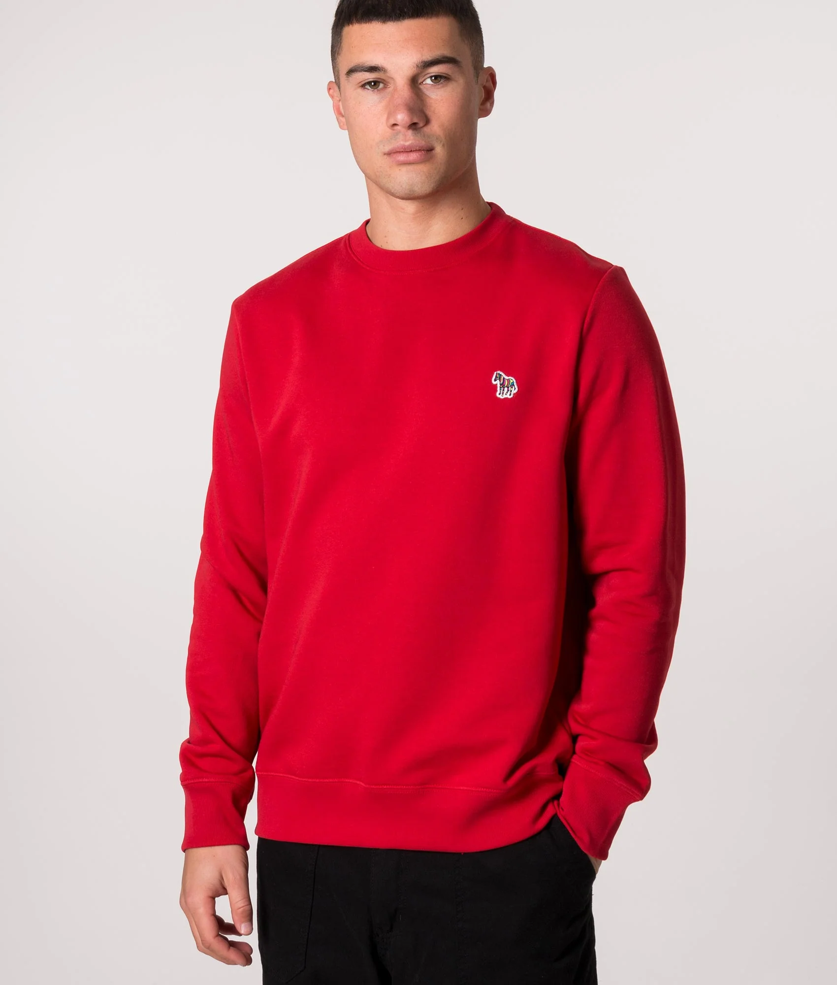 Regular Fit Zebra Logo Sweatshirt