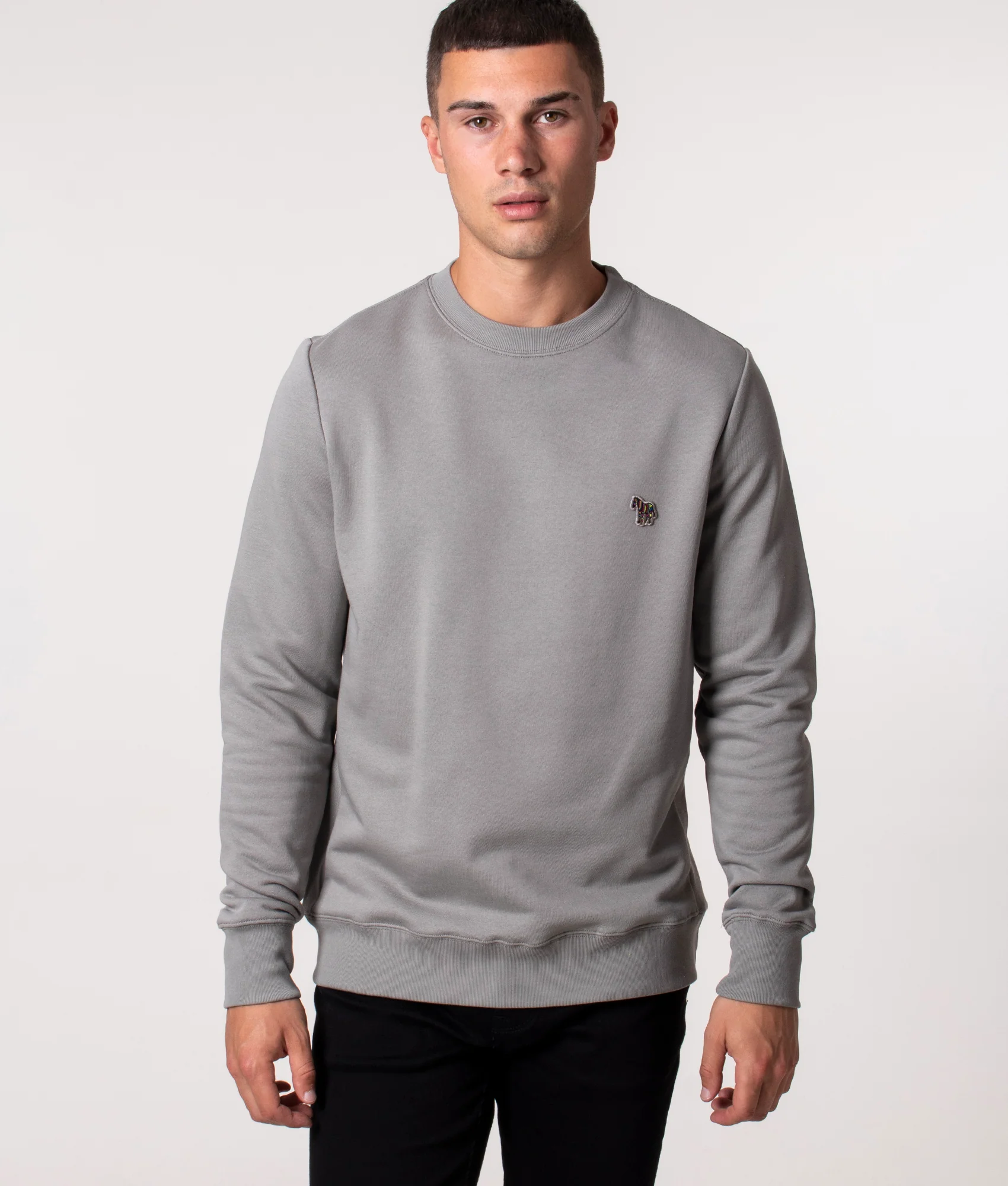 Regular Fit Zebra Logo Sweatshirt