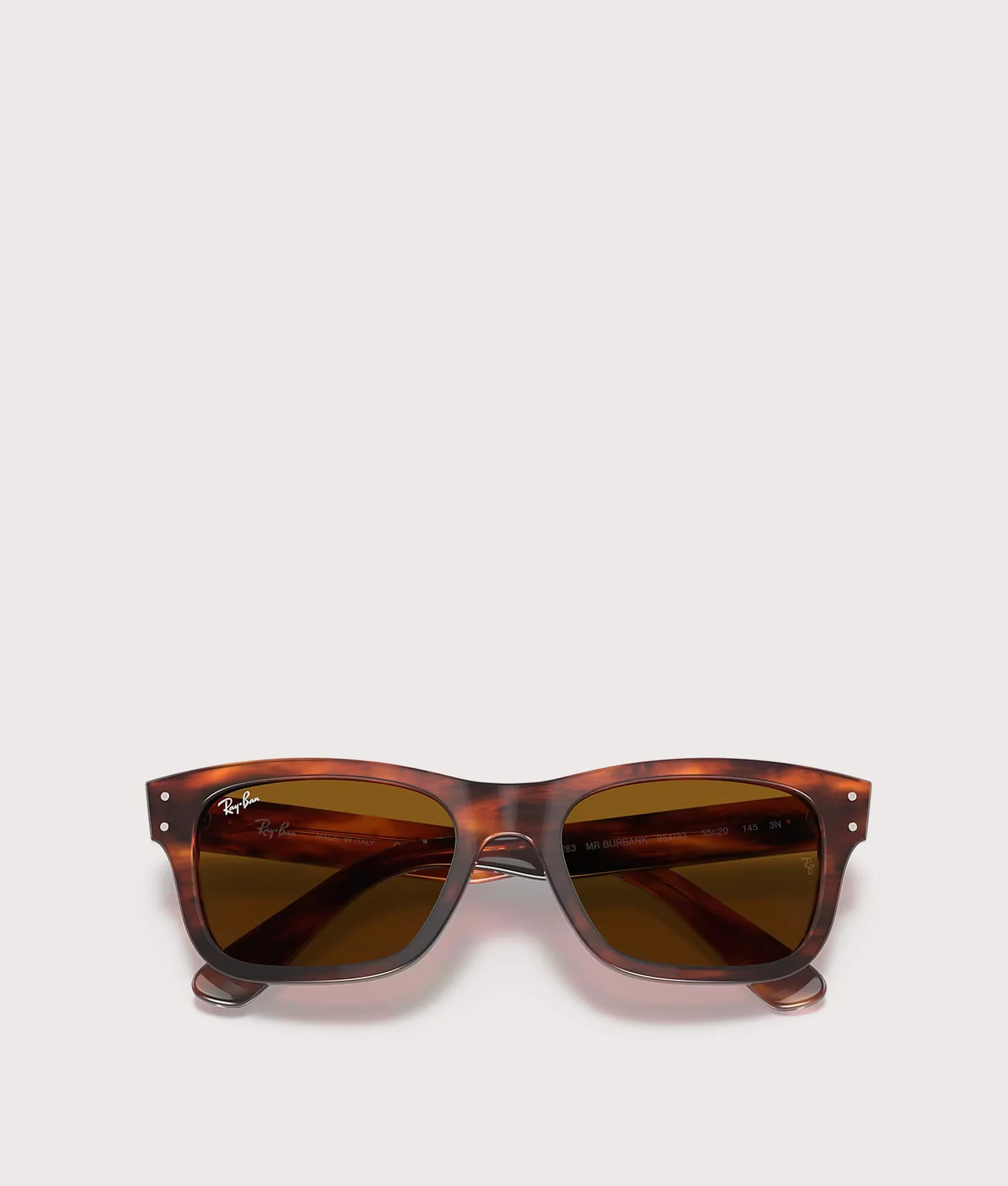 Mega Wayfarer Sunglasses - Image 5