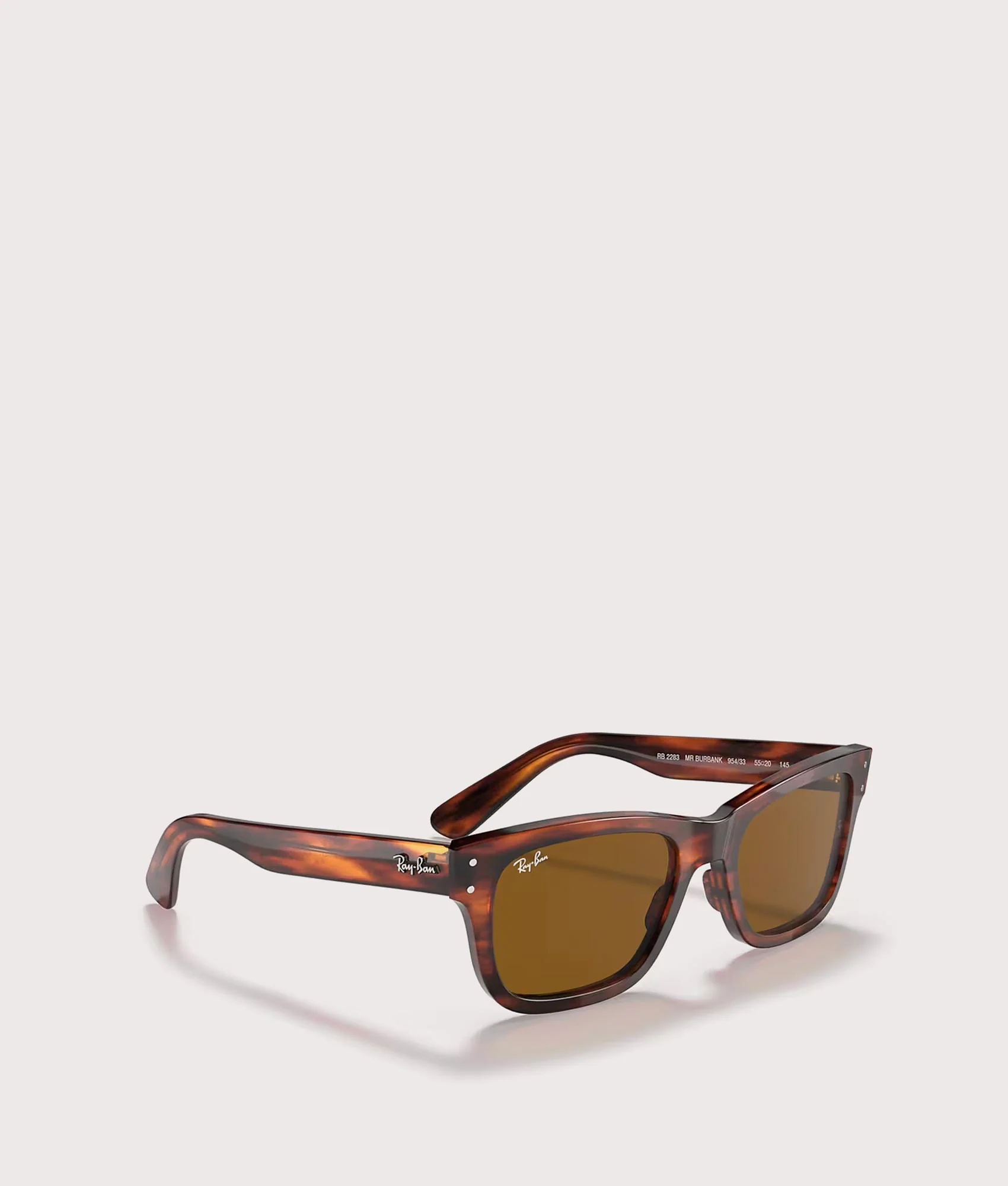 Mega Wayfarer Sunglasses - Image 6